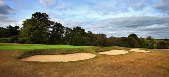 Stoneham Golf Club - photo 7