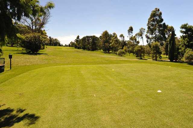 City Golf Club - photo 5