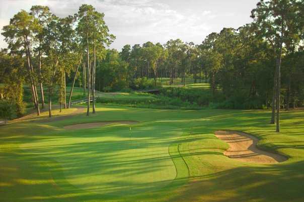 Timber Creek Golf Club - photo 6