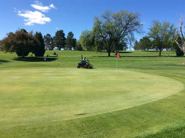 Elmwood Golf Course - photo 3
