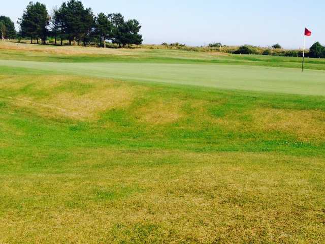 Monifieth Golf Links - Medal - photo 2