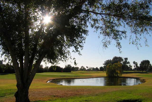 Peoria Pines Golf Course - photo 6