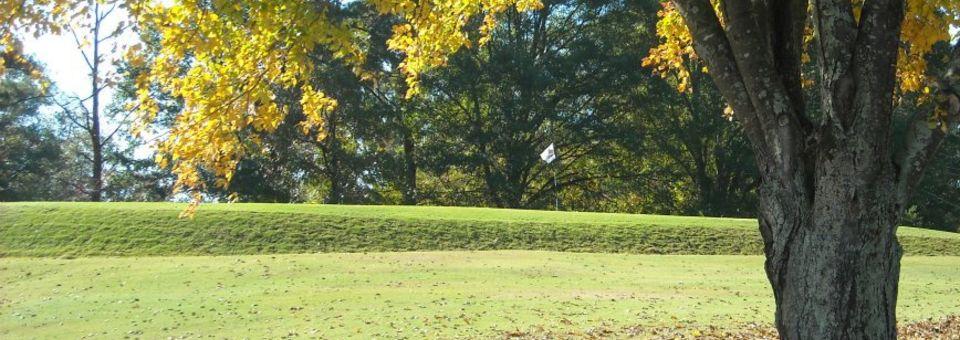 College Park Golf Course - photo 4