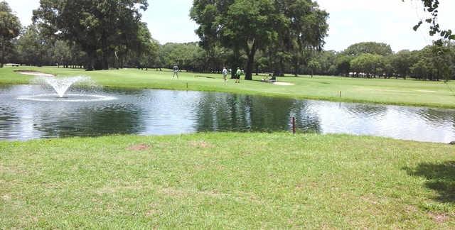 Chiefland Golf & Country Club - photo 1