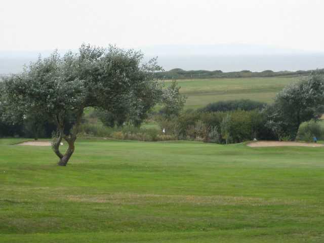 Maesdu Golf Club - photo 8