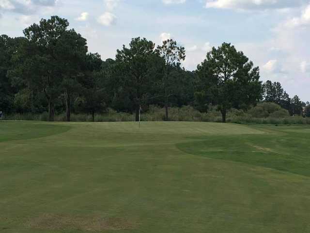 St. Johns Golf Club - photo 4