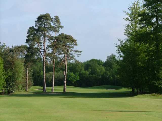 Chartham Park