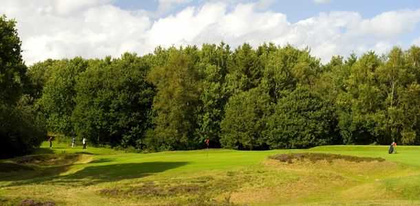 Piltdown Golf Club - photo 7