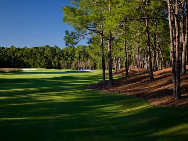 Tranquilo Golf Club at Four Seasons - photo 5