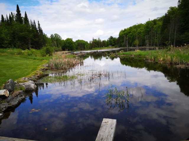 Blue Heron Golf Club - photo 3