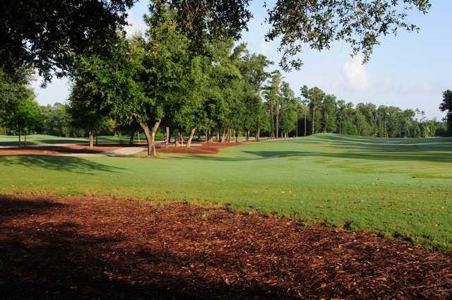 The Oaks Golf Club - photo 8