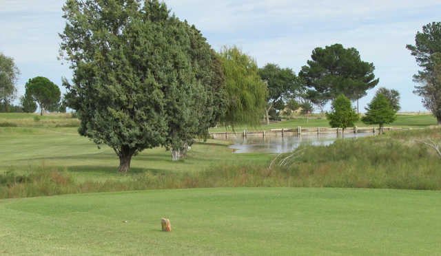 Yoakum County Golf Course - photo 3