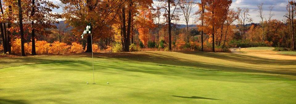 Williams Creek Golf Course - photo 8