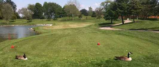 Meadowbrook Golf Course - photo 3