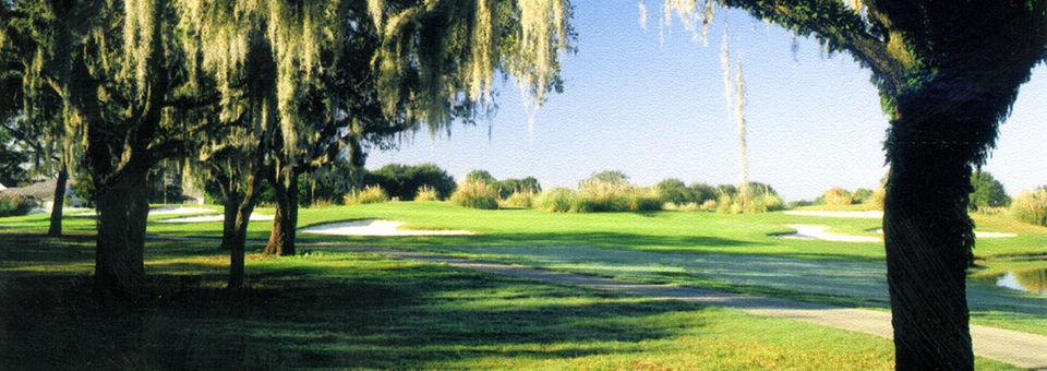 Bloomingdale Golfers Club (Tampico, FL) - photo 5
