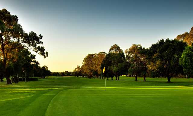 Bankstown Golf Club - photo 7