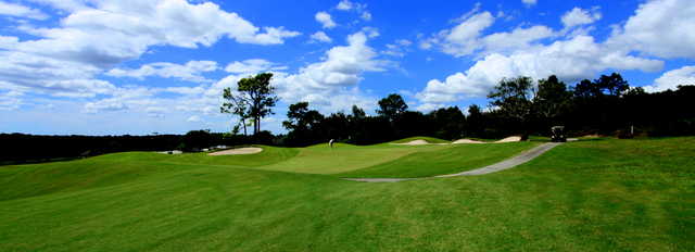 Twisted Oaks Golf Club - photo 2