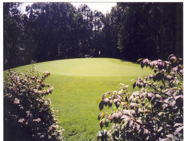 Tanglewood - photo 4