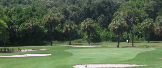 Tarpon Springs Golf Course - photo 4