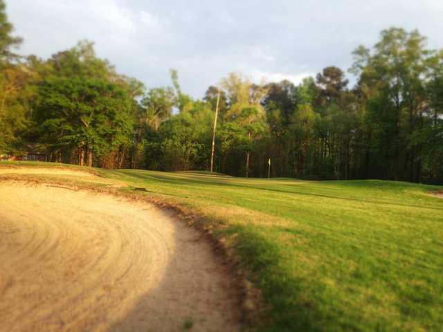 Castlewoods Golf Club - photo 2