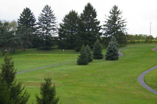 Rolling Pines - photo 2