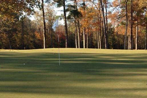 Duplin Country Club - photo 3