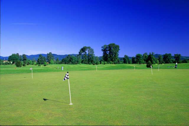 Trysting Tree Golf Club - photo 3