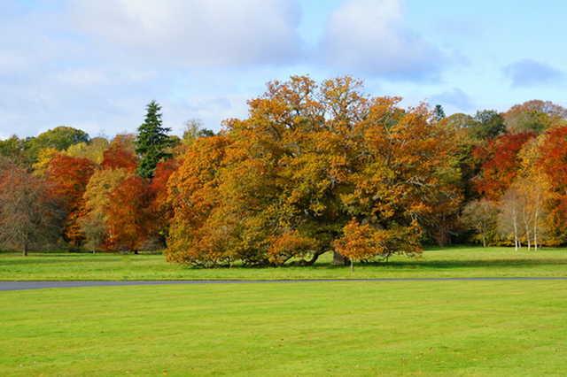 The Roxburghe Hotel & Golf Course - photo 5