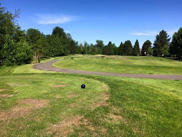 Michelbook Country Club - photo 2
