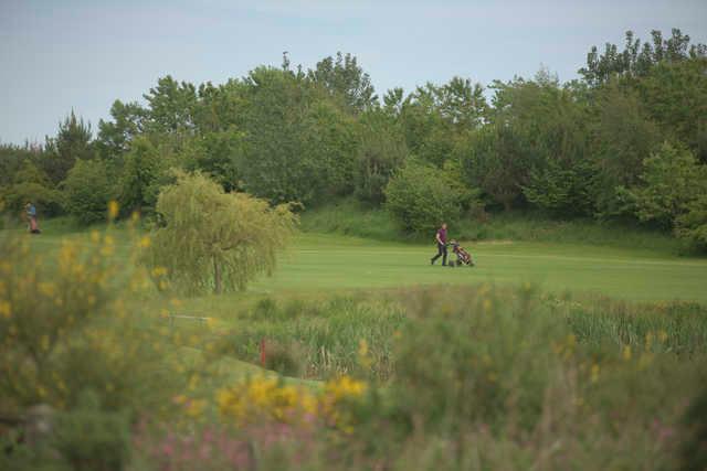 Forbes of Kingennie Country Resort - photo 2