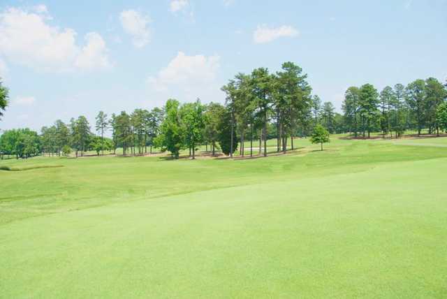 Forest Oaks - photo 5