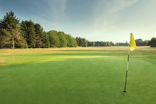 Stockwood Park Golf Centre - photo 4