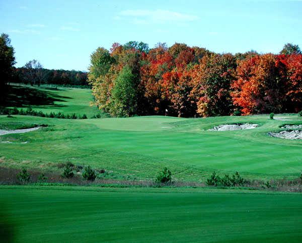 Mistwood Golf Course - photo 4