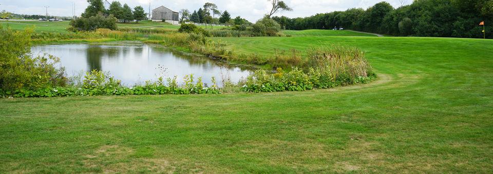 Bloomington Downs Golf Club - photo 5