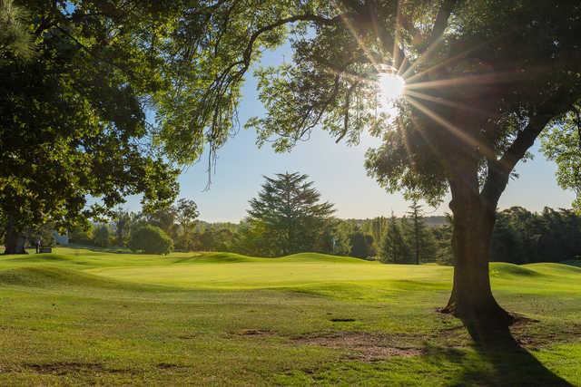 Duntryleague Golf Club - photo 2