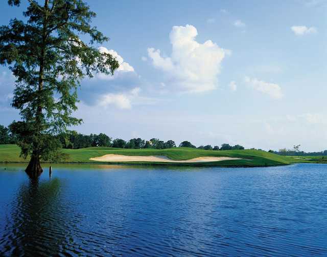 The Island Country Club - photo 2