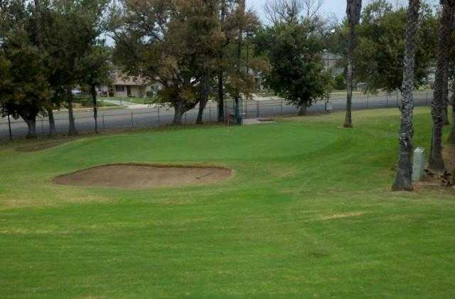 Palm Lake Golf Course - photo 2