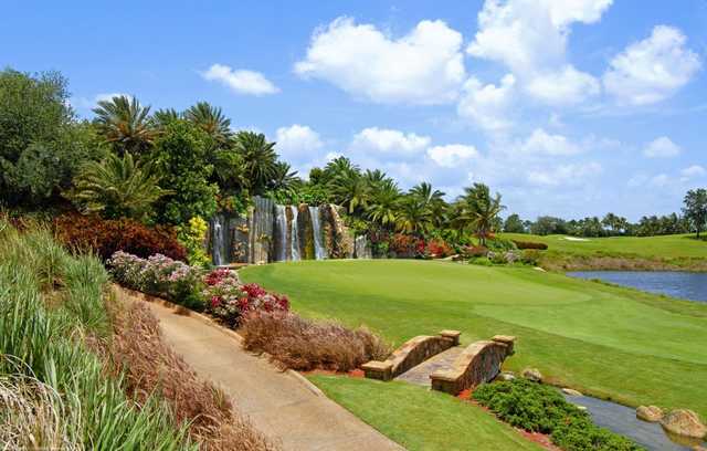 Trump International Golf Club - photo 3