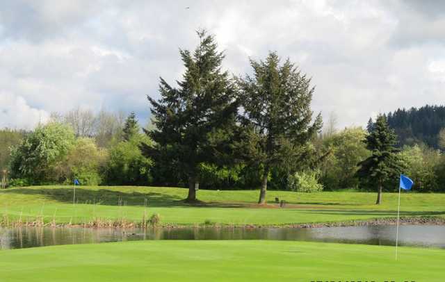 Newaukum Valley Golf Course - photo 1