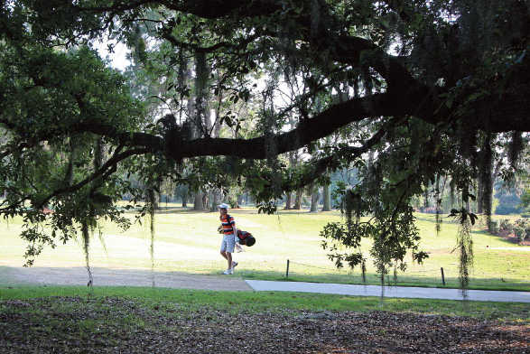 Savannah Golf Club - photo 5