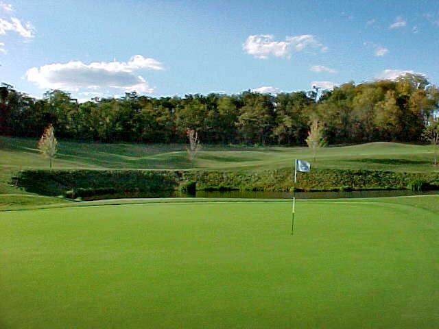 The Madison Club