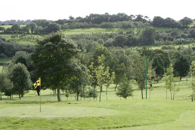 Elfordleigh Hotel, Golf & Country Club - photo 7