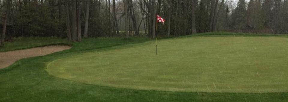 Pines Of Georgina - photo 2