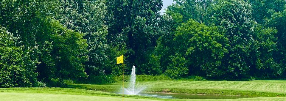 Bee Tee Golf Club - photo 5