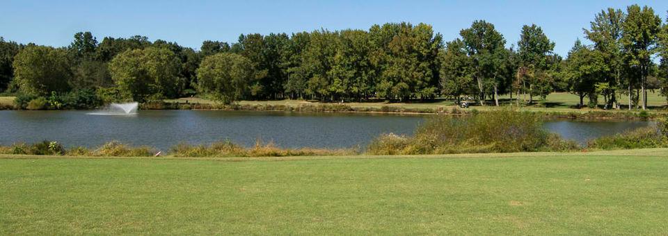 Greendale Golf Course - photo 3