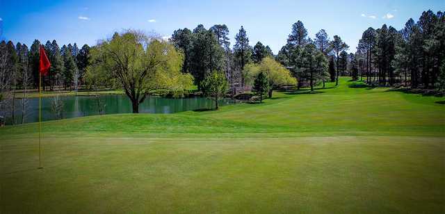 Pinetop Lakes Golf & Country Club - photo 5
