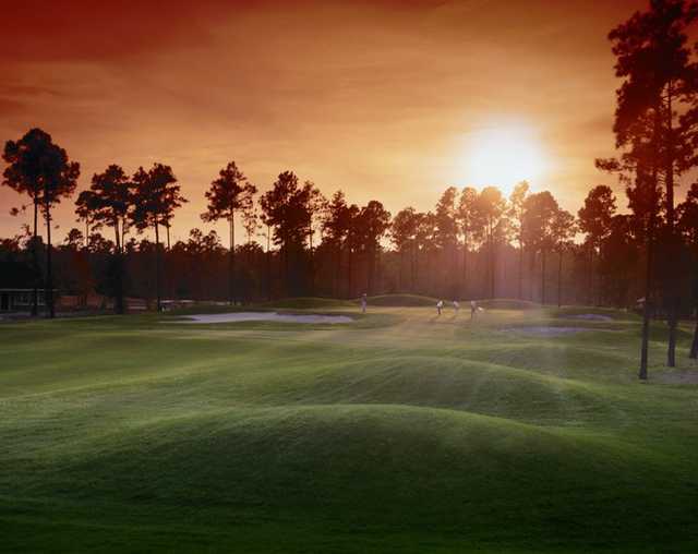 Sea Trail Golf Resort - The Willard Byrd Golf Course - photo 4