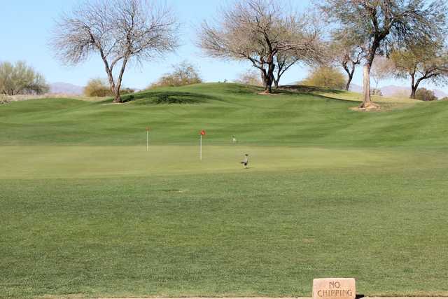 Falcon Dunes Golf Club - photo 2