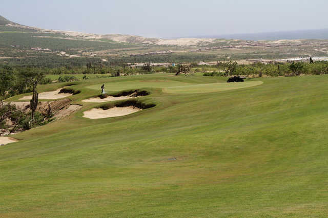 Diamante Cabo San Lucas - El Cardonal Course - photo 5