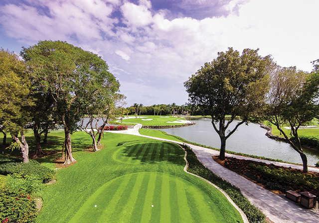 Ocean Reef Club - photo 4